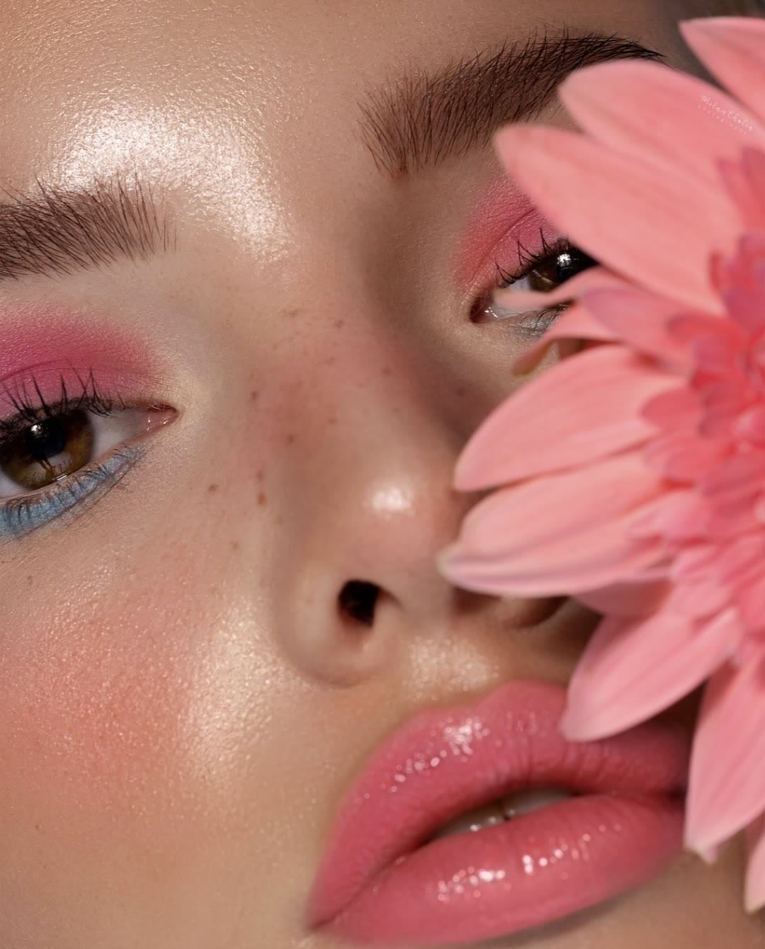 Rosy blush close-up with gerbera — cream vs powder
